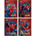 Caderno Brochura Spiderman c 60 Folhas - Norma